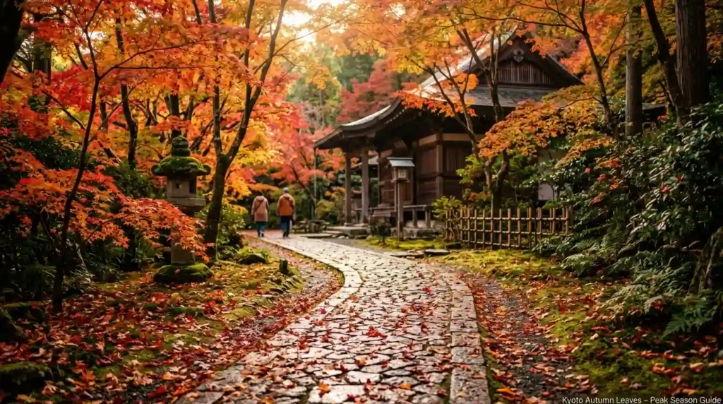 best places to see autumn leaves japan image