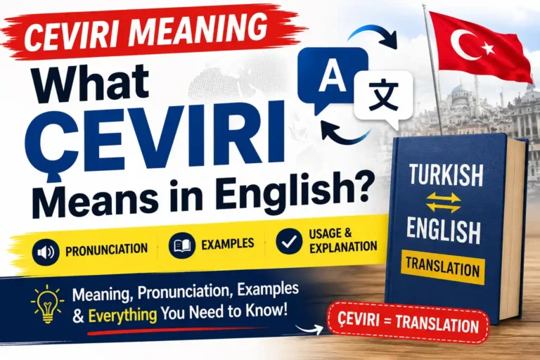 Ceviri Meaning: What Çeviri Means in English (Pronunciation & Examples) ceviri image