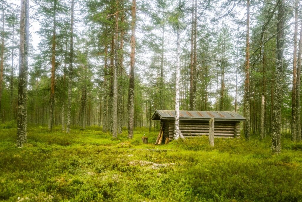 Importance of Finnish Sauna Architecture